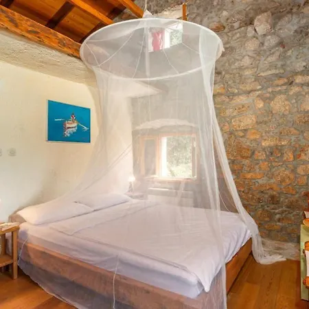 Celestina By Guide Ičići