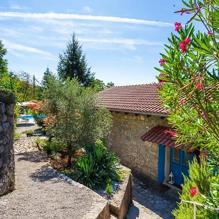 Celestina By Guide *